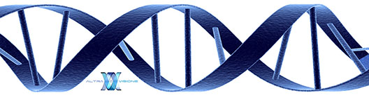 ADN